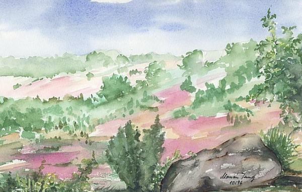 Aquarell/Lneburger Heide